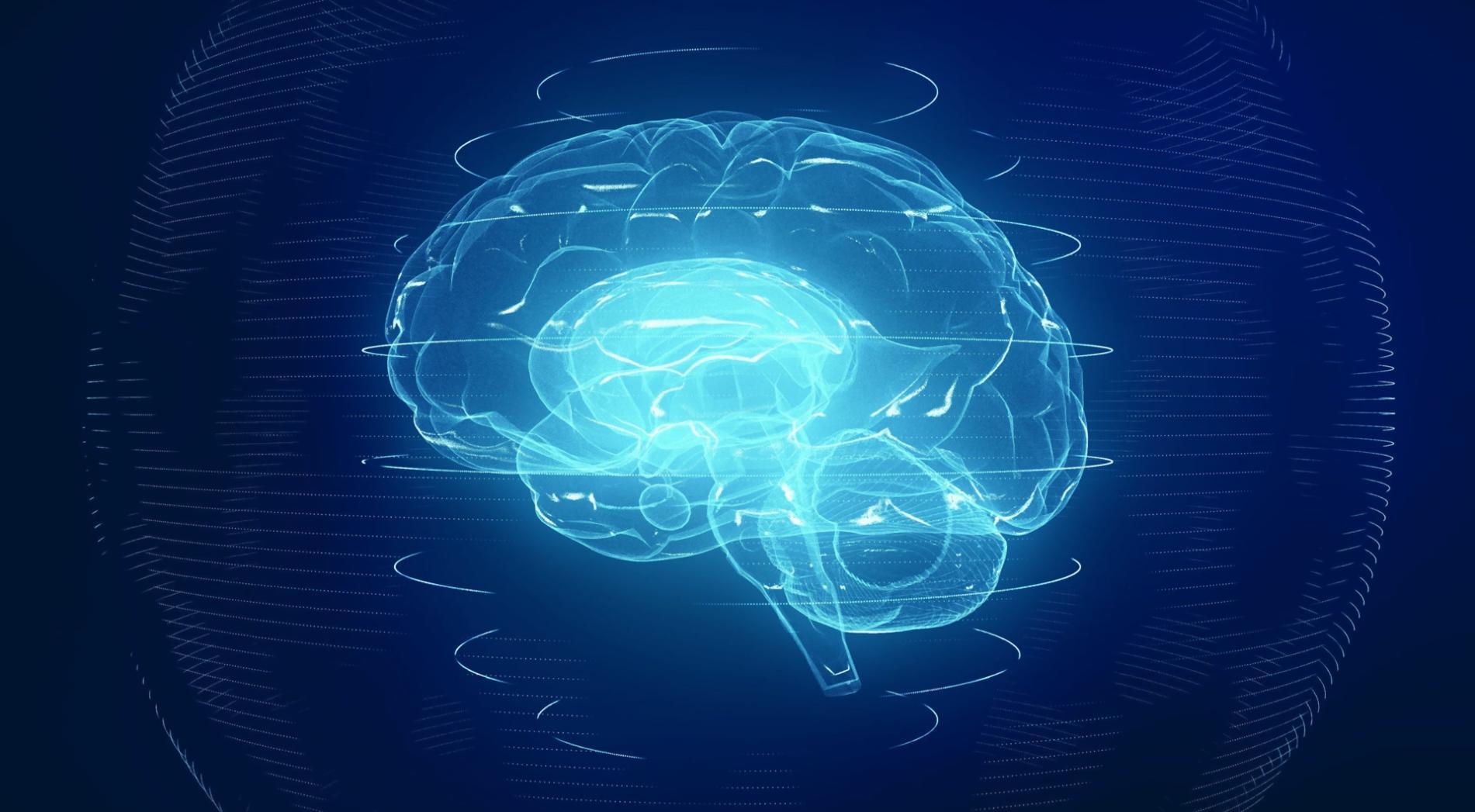 Custom AI Chatbot Development